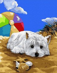 Картина за номерами "Болонка на пляжі" BrushMe полотно на підрамнику 40x50см GX27765 в інтернет-магазині "Я - Picasso"