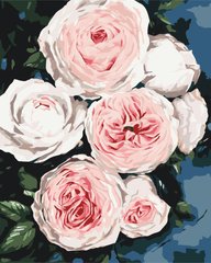 Картина за номерами "Бутони пишних троянд" BrushMe полотно на підрамнику 40х50см BS40586 в інтернет-магазині "Я - Picasso"