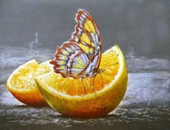 Алмазна мозаїка "Метелик на апельсині" Алмазна мозаїка 30x40см DM-180 в інтернет-магазині "Я - Picasso"