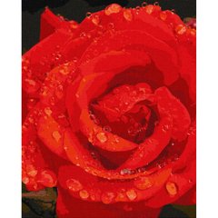 Картина за номерами "Троянда в діамантах" Ідейка полотно на підрамнику 40x50см KHO3207 в інтернет-магазині "Я - Picasso"