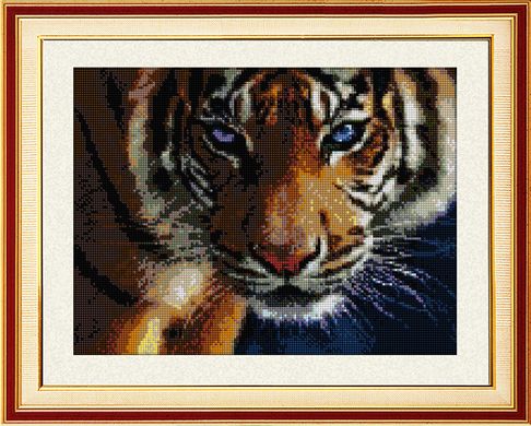 30028 Взгляд тигра. Dream Art. Набор алмазной живописи (квадратные, полная) в интернет-магазине "Я - Picasso"
