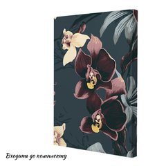 Картина по номерам "Узорчатые орхидеи" 28x40 см RB-0598 в интернет-магазине "Я - Picasso"