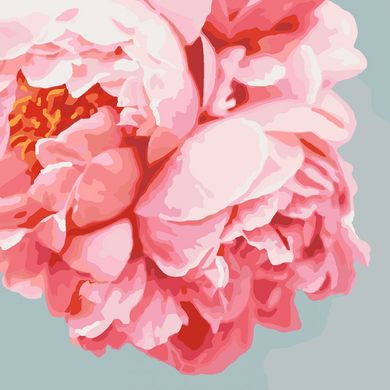 Картина за номерами "Рожеві півонії" Ідейка полотно на підрамнику 40x40см КНО3035 в інтернет-магазині "Я - Picasso"