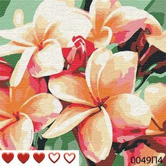 Картини за номерами "Весняні квіти" Барви полотно на підрамнику 40x40 см 0049П4 в інтернет-магазині "Я - Picasso"