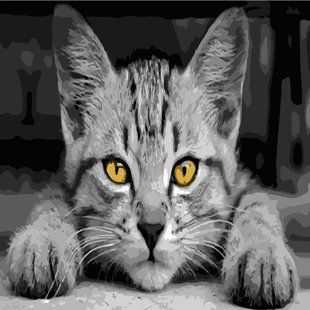Картина за номерами "Сірий кіт" ArtStory полотно на підрамнику 40х40см AS0502 в інтернет-магазині "Я - Picasso"