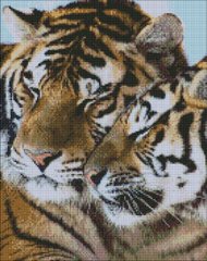 Алмазна мозаїка "Тигрове кохання" Ідейка 40x50см AMO7122 в інтернет-магазині "Я - Picasso"