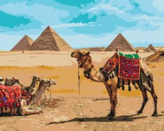 Картина по номерам "Египетский колорит" BrushMe полотно на подрамнике 40x50см BS52718 в интернет-магазине "Я - Picasso"