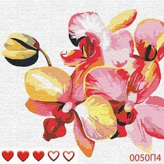 Картини за номерами "Квітуча орхідея" Барви полотно на підрамнику 40x40 см 0050П4 в інтернет-магазині "Я - Picasso"