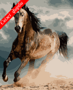 Картины по номерам - Конь в облоках 40x50 в интернет-магазине "Я - Picasso"