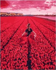 Картина по номерам - Она в поле тюльпанов в интернет-магазине "Я - Picasso"