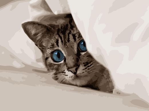 Картина по номерам - Кот под одеялом 30x40см в интернет-магазине "Я - Picasso"