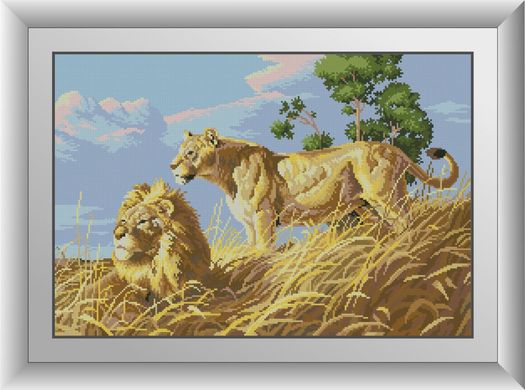 30052 Африканские львы. Dream Art. Набор алмазной живописи (квадратные, полная) в интернет-магазине "Я - Picasso"