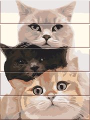 Картина за номерами на дереві "Різнокольорові коти" ArtStory подарункова упаковка 30x40см ASW190 в інтернет-магазині "Я - Picasso"