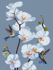 Картина по номерам "Цветущие орхидеи" Идейка холст на подрамнике 40x30см КНО3241 в интернет-магазине "Я - Picasso"