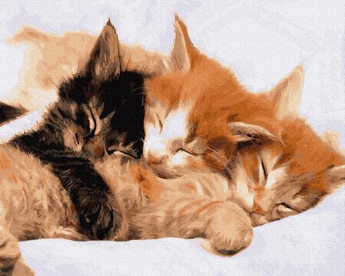 Картина за номерами "Сплячі котики" BrushMe полотно на підрамнику 40x50см GX21718 в інтернет-магазині "Я - Picasso"