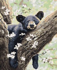 Картины по номерам "Медвежонок" Artissimo холст на подрамнике 50x60 см PNX5783 в интернет-магазине "Я - Picasso"