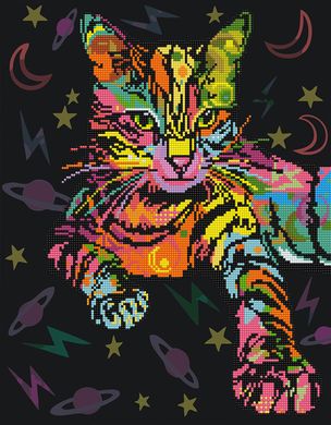 Алмазна картина-розмальовка "Неонова кішка" BrushMe 3D ефект подарункова коробка 40x50 cм GZS1186 в інтернет-магазині "Я - Picasso"