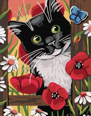 Картина за номерами "Цікавий котик" BrushMe полотно на підрамнику 40х50см GX32252 в інтернет-магазині "Я - Picasso"