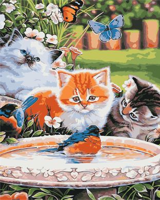 Картина за номерами "три кошеня" ArtStory подарункова упаковка 40x50см AS1019 в інтернет-магазині "Я - Picasso"