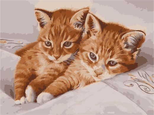 Картина за номерами "руді кошенята" ArtStory полотно на підрамнику 30х40см AS1062 в інтернет-магазині "Я - Picasso"