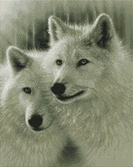 Алмазная мозаика - Белые волки 40x50см в интернет-магазине "Я - Picasso"