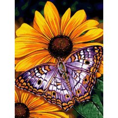 Алмазна мозаїка "Метелик на квітах" Алмазна мозаїка 30x40см DM-177 в інтернет-магазині "Я - Picasso"