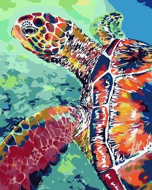 Картина по номерам - Черепаха 40х50 в интернет-магазине "Я - Picasso"