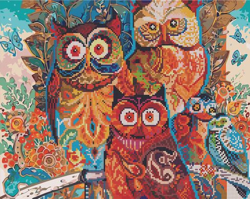 Алмазная картина-раскраска - Цветные совы 40x50 см в интернет-магазине "Я - Picasso"