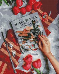 Алмазна мозаїка "Знайомство з магічним світом Гаррі" BrushMe полотно на підрамнику 40x50см DBS0028 в інтернет-магазині "Я - Picasso"