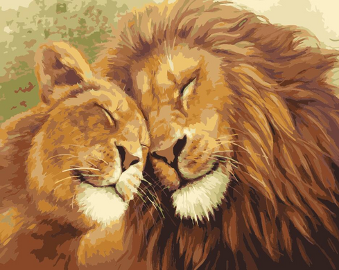 Картина за номерами "Лев і левиця" ArtStory подарункова упаковка 40x50см AS1020 в інтернет-магазині "Я - Picasso"