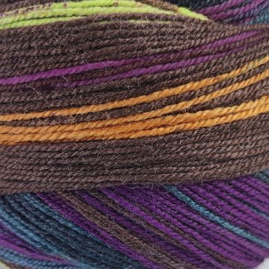 Пряжа Indulgence Sock/Индульгенсе Сок, коричневый-черничный-серый-темно-серый-оранжевый-желтый-зеленый-розовый мультиколор 8, Laines du Nord