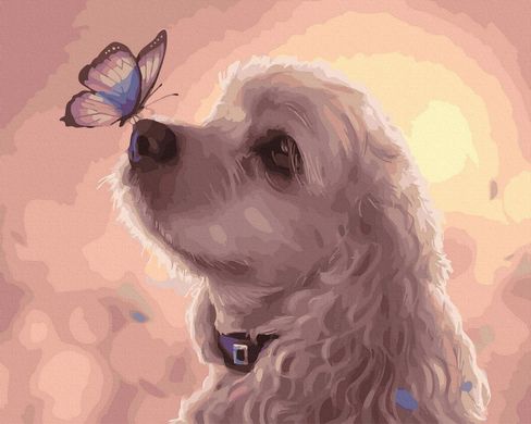 Картина за номерами "Собачка з метеликом на носі" BrushMe полотно на підрамнику 40х50см GX40250 в інтернет-магазині "Я - Picasso"