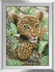 Алмазна мозаїка "Дитинча леопарда" Dream Art в коробці 31614 в інтернет-магазині "Я - Picasso"