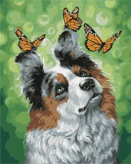 Картина за номерами "Собака і метелики" ArtStory подарункова упаковка 40x50см AS1023 в інтернет-магазині "Я - Picasso"