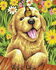 Картина по номерам "Радостный щенок" BrushMe полотно на подрамнике 40x50см BS51702 в интернет-магазине "Я - Picasso"
