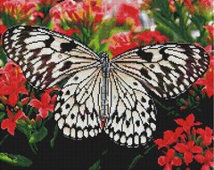 Алмазная мозаика - Бабочка на цветах в интернет-магазине "Я - Picasso"