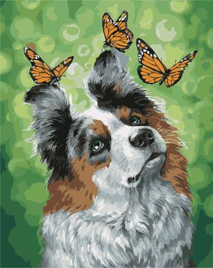Картина по номерам - Собака и бабочки 40x50см в интернет-магазине "Я - Picasso"