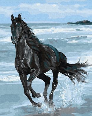 Картина по номерам "Черная лошадь" BrushMe холст на подрамнике 40x50см GX29330 в интернет-магазине "Я - Picasso"