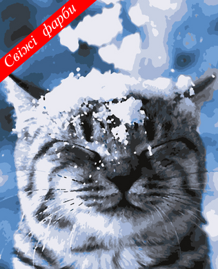 Картини за номерами "Зима прийшла!" Artissimo полотно на підрамнику 50x60 см PNХ4211 в інтернет-магазині "Я - Picasso"