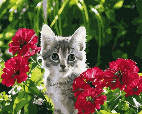 Картина за номерами "Кошеня в квітах" BrushMe полотно на підрамнику 40х50см GX7656 в інтернет-магазині "Я - Picasso"