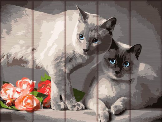 Картина за номерами на дереві "Сіамські коти" ArtStory подарункова упаковка 30x40см ASW128 в інтернет-магазині "Я - Picasso"