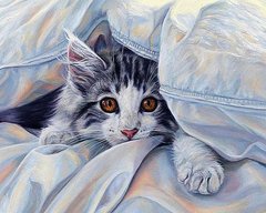 Алмазная мозаика "Кошка под одеялом" Алмазная мозаика 40x50см DM-143 в интернет-магазине "Я - Picasso"