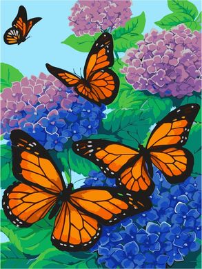 Картина по номерам - Бабочки 30x40см в интернет-магазине "Я - Picasso"