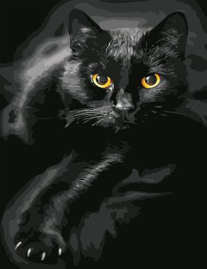 Картина по номерам - Чёрный кот 50x65см в интернет-магазине "Я - Picasso"