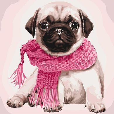 Картины по номерам - Розовое настроение 40х40 в интернет-магазине "Я - Picasso"