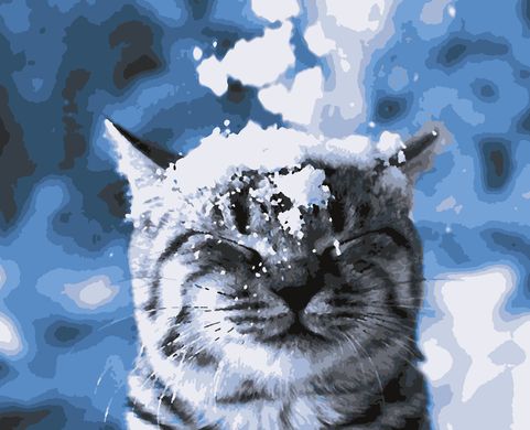 Картини за номерами "Зима прийшла!" Artissimo полотно на підрамнику 40x50 см PN4211 в інтернет-магазині "Я - Picasso"