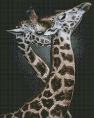 Алмазна мозаїка "Витончена пара" Ідейка полотно на підрамнику 40x50см AMO7533 в інтернет-магазині "Я - Picasso"