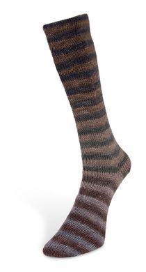 Пряжа Paint Sock 6 PLY/Пейнт Сок 6 PLY, серый-коричневый-зеленый-темно-серый 5, Laines du Nord