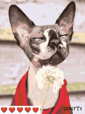 Картини за номерами "КОТИК ТА КУЛЬБАБКА" Барви полотно на підрамнику 40x50 см 0047Т1 в інтернет-магазині "Я - Picasso"