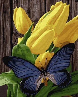 Картина за номерами "Метелики на тюльпанах" BrushMe полотно на підрамнику 40x50см GX33215 в інтернет-магазині "Я - Picasso"